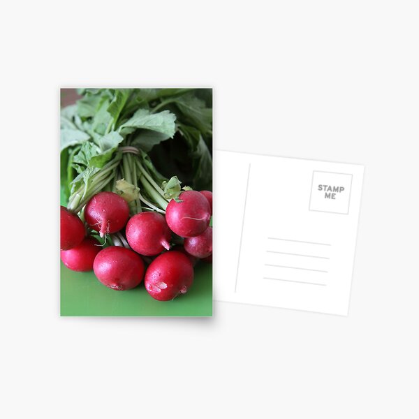 Fresh from the Farmers' Market (Radishes) Postcard