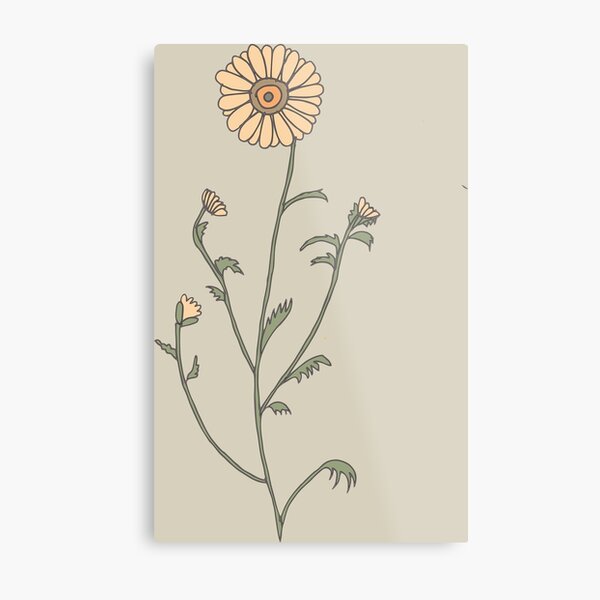 Wild herbs herba Metal Print