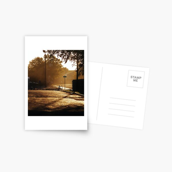 morning gold Postcard