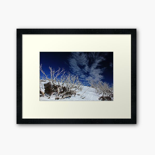 Mt Hotham trees Framed Art Print