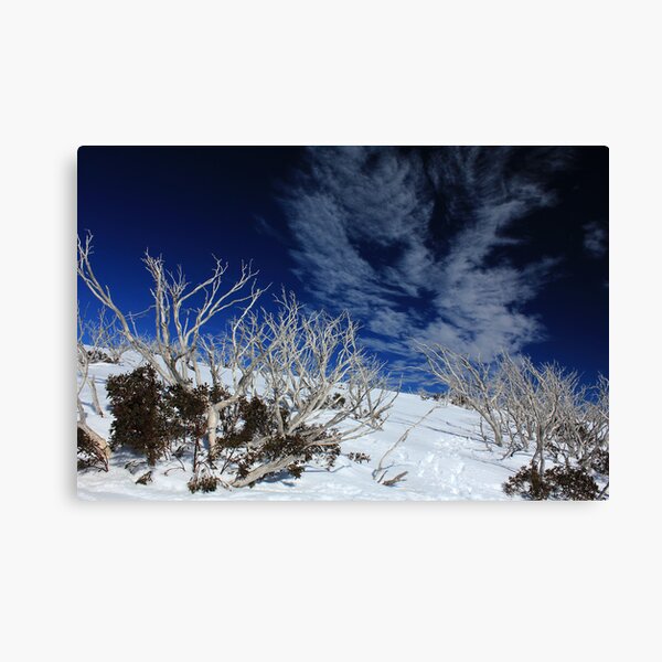 Mt Hotham trees Canvas Print