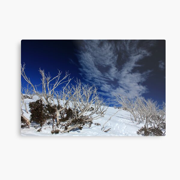 Mt Hotham trees Metal Print
