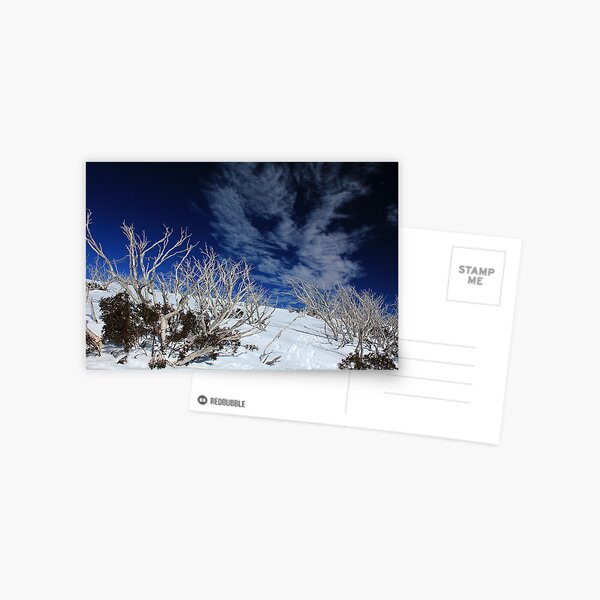 Mt Hotham trees Postcard