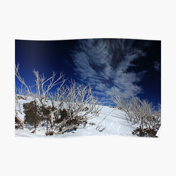 Mt Hotham trees Poster
