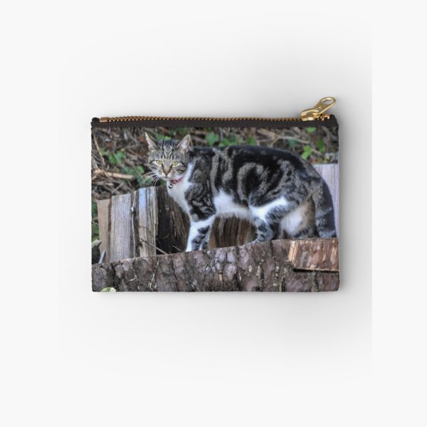 Item preview, Wary Cat.......... designed and sold by lynn carter.