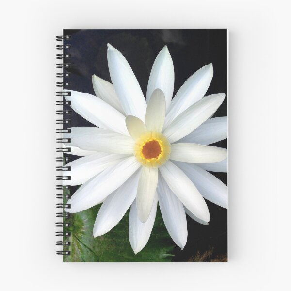 Item preview, Lily Pad designed and sold by Anthony Nicolet.