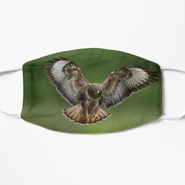 Animals Of Prey Face Masks Redbubble - what is the roblox song id for buzzard