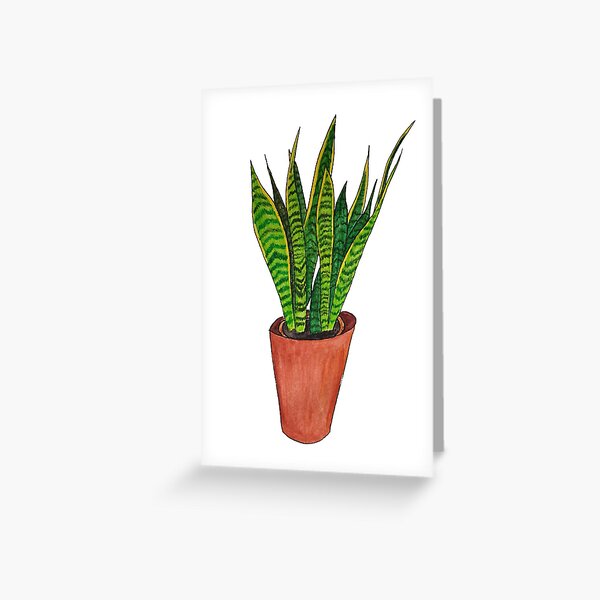 Snake plant watercolour Greeting Card