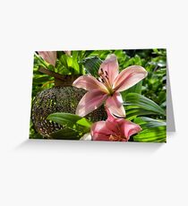 Lily's for my Birthday... Greeting Card