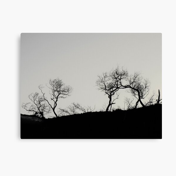 The Battle.... Canvas Print