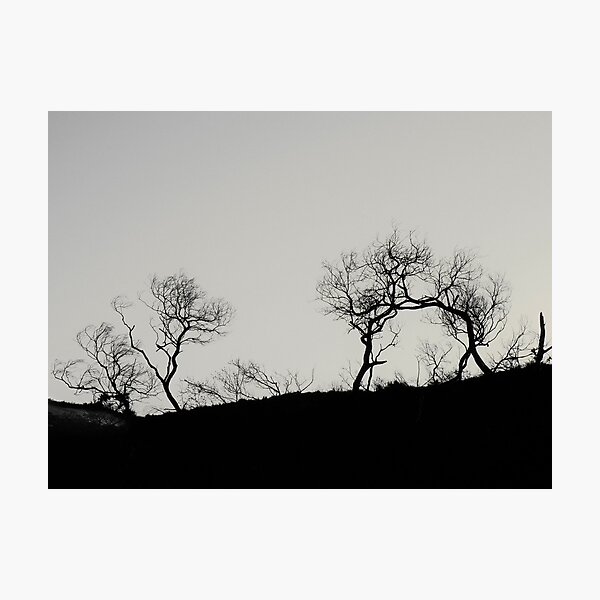 The Battle.... Photographic Print