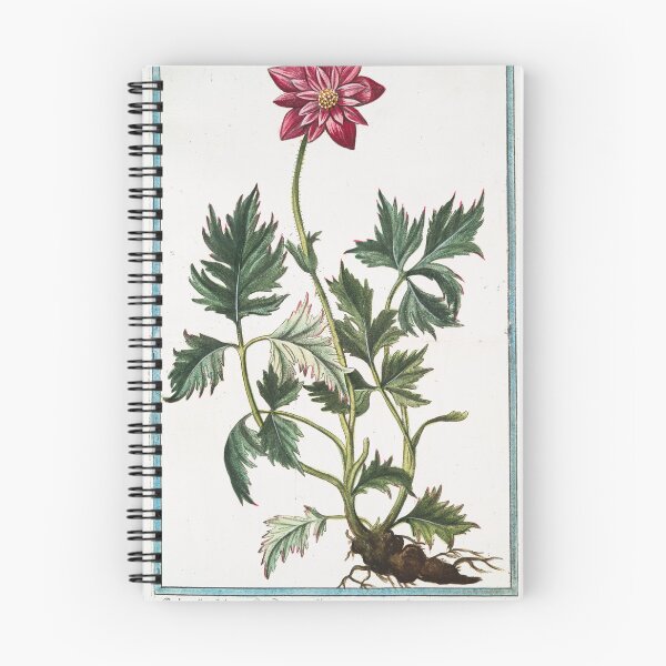 Item preview, Flores vintage- Pulsatilla designed and sold by History Farm.