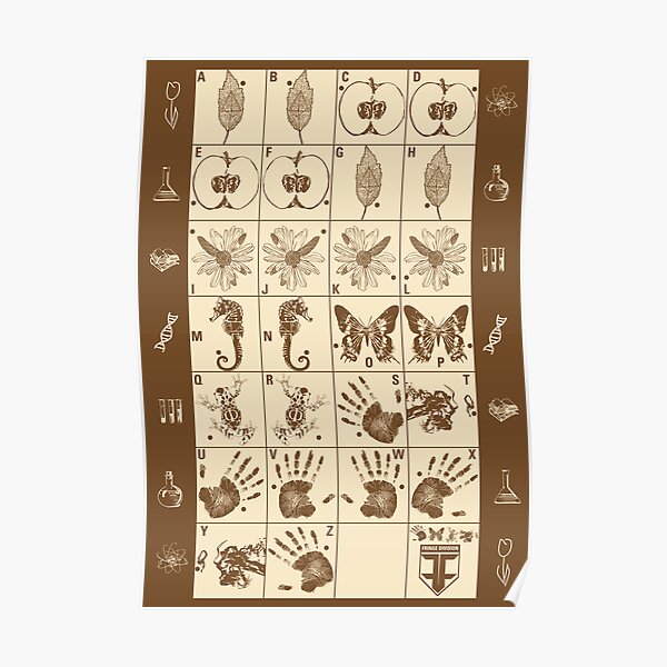 A guide to coded messages Poster