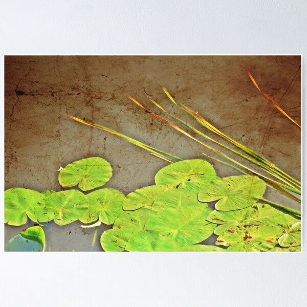 leaves Poster