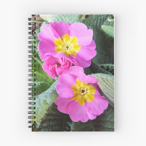 Item preview, Primula vulgaris sibthorpii designed and sold by pinkal.