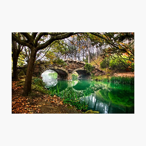 Golden Gate Park Photographic Print