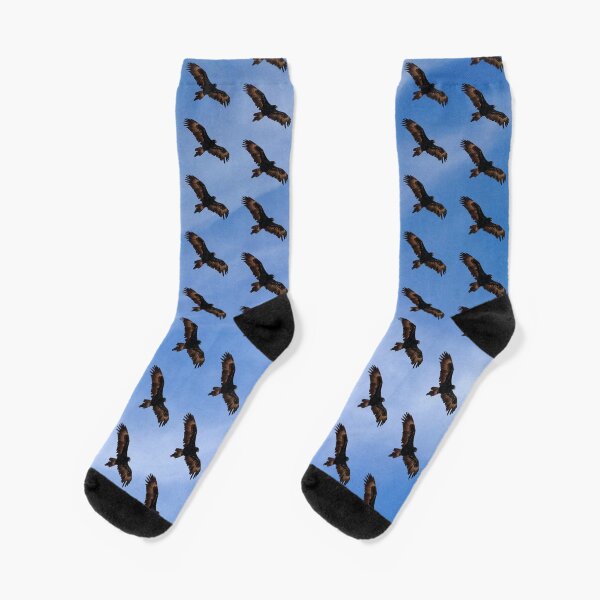 Wedge-tailed Eagle 4 Socks