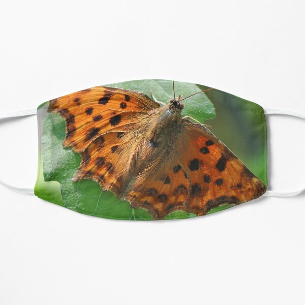 Comma butterfly Mask
