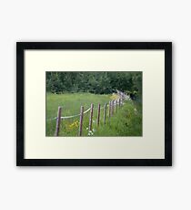 Fence Framed Print