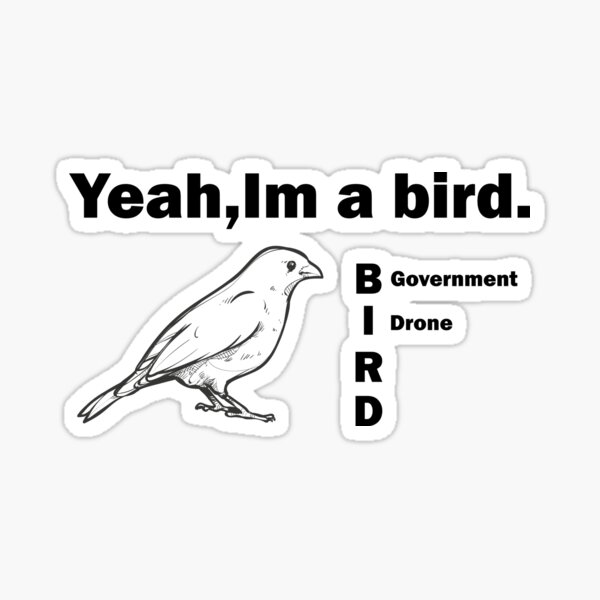 Yeah im a government bird drone Sticker