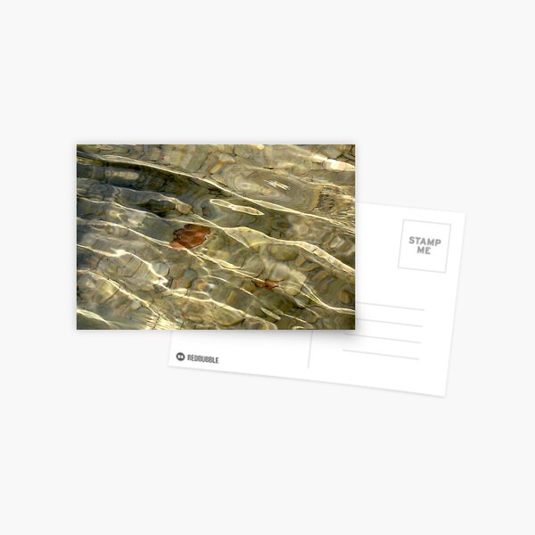 se jeter à l'eau Postcard