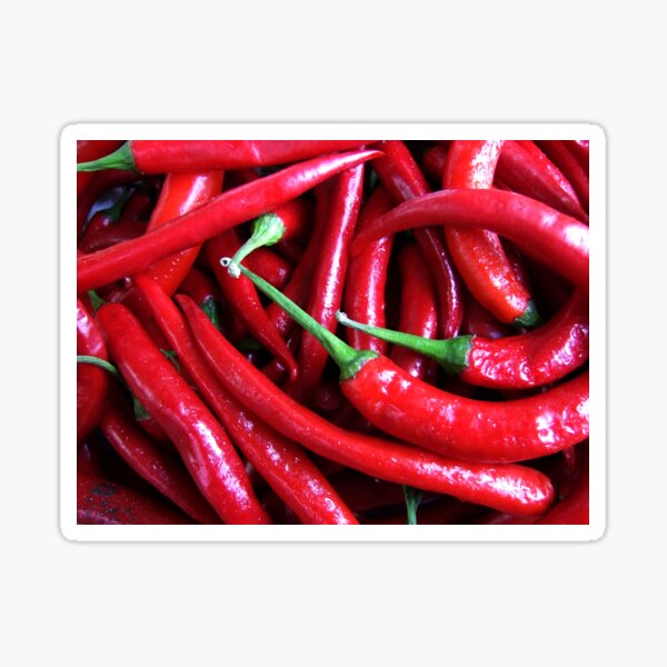 Rote Chili Sticker
