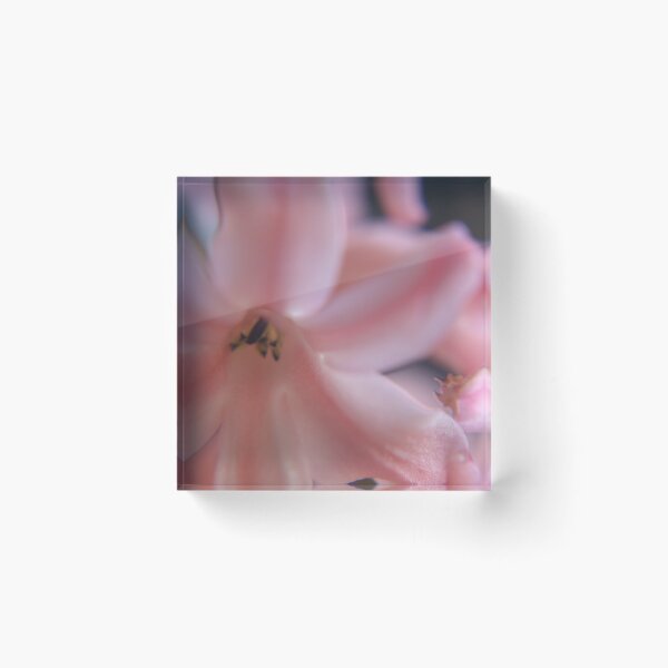 Item preview, Hyacinth Macro 2 designed and sold by Colin Bentham.