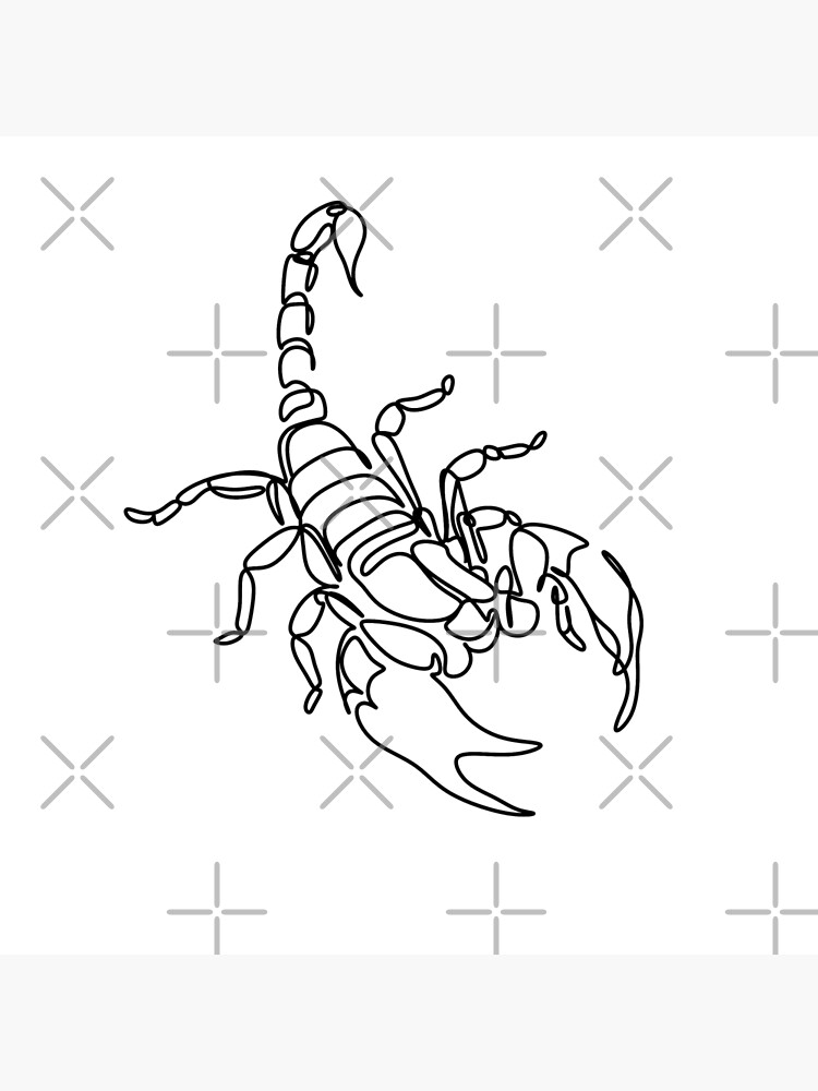 Scorpio Zodiac Sign 6x6 Scorpion Canvas Painting Wall Art Print Home Decor  NEW