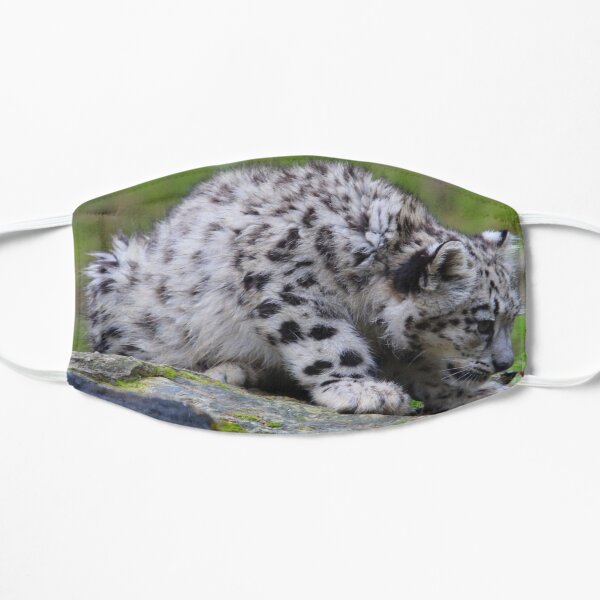 Snowleopard Okara or Orya, Zurich, Switzerland Mask