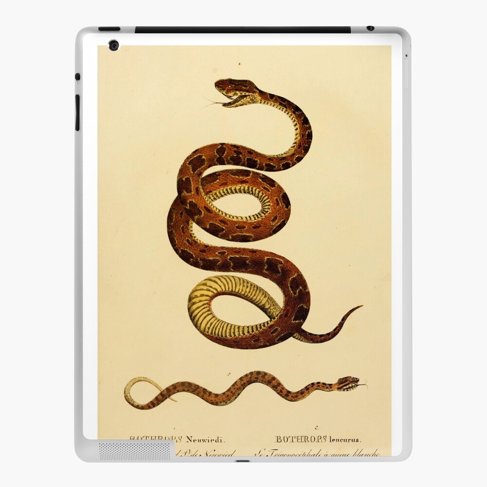 Doodle Snake (Kindle Tablet Edition)