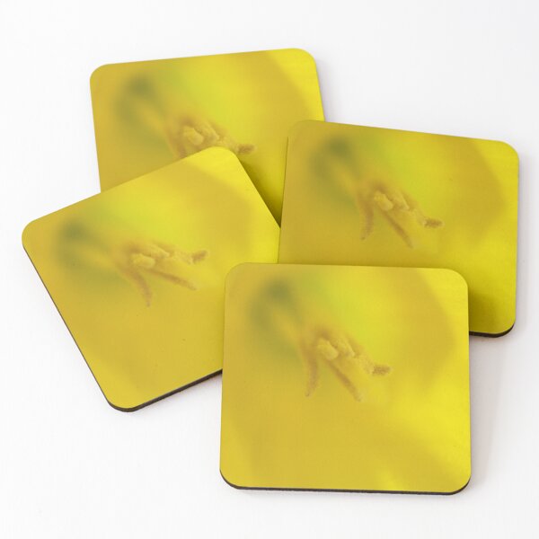 Item preview, Daffodil Macro designed and sold by Colin Bentham.