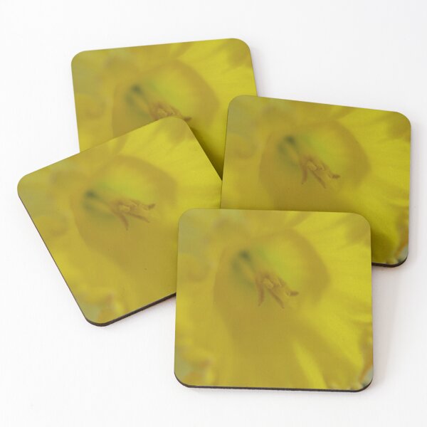Item preview, Daffodil closeup designed and sold by Colin Bentham.