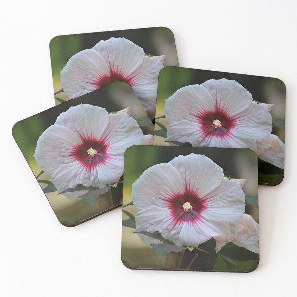 Item preview, Hardy Hibiscus designed and sold by ReneeKennedy.