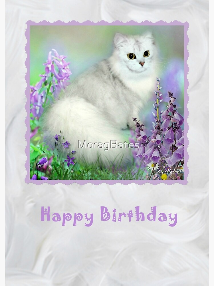 Mistletoe The Silver Shaded Chinchilla Persian Cat Birthday Card Greeting Card By Moragbates Redbubble