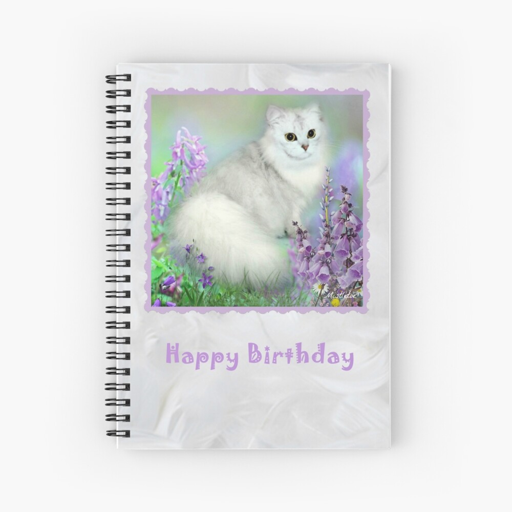 Carte De Vœux Gui La Carte D Anniversaire De Chat Persan Argente Chinchilla Ombrage Par Moragbates Redbubble