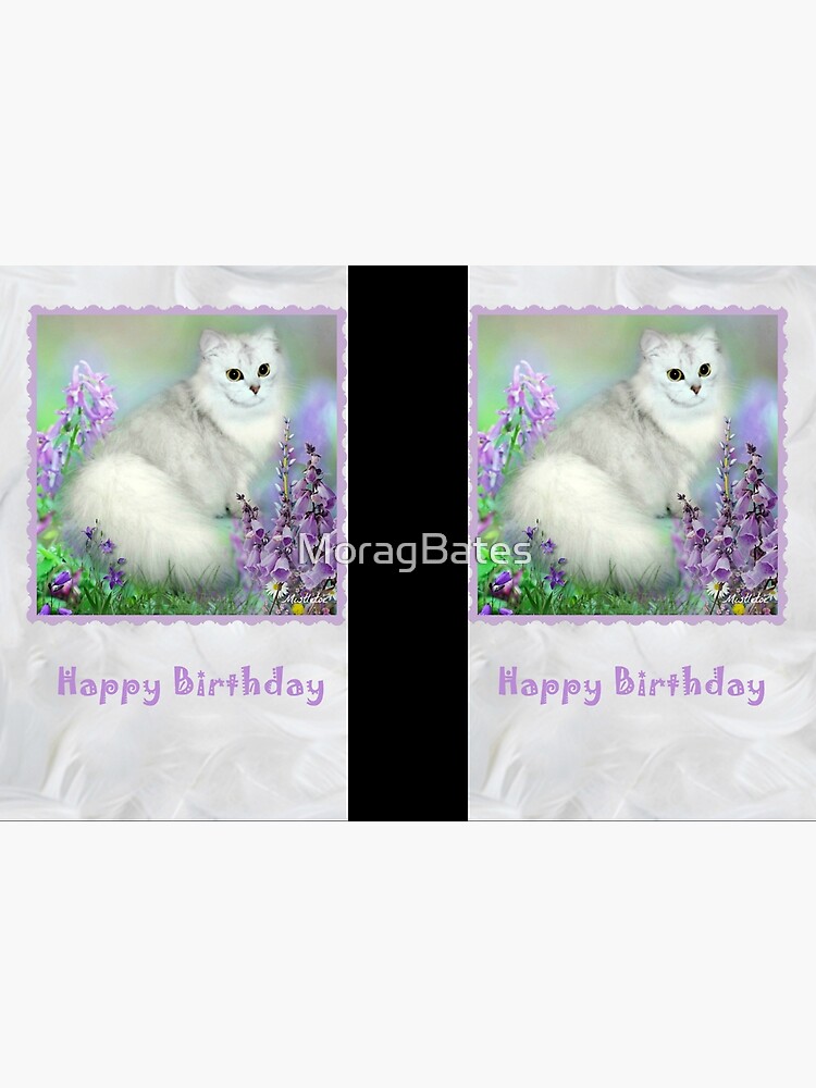 Mistletoe The Silver Shaded Chinchilla Persian Cat Birthday Card by MoragBates