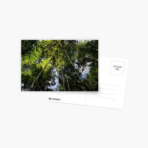 Item preview, Rainforest (green jungle) in Panama designed and sold by michieldros.