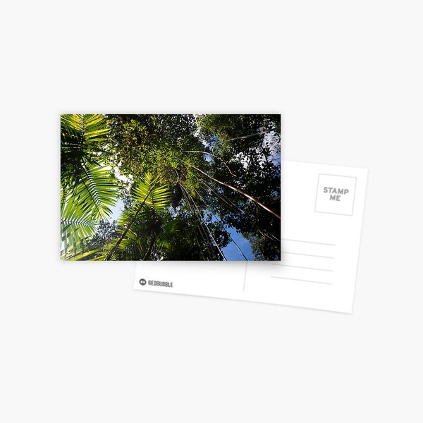 Item preview, Tropical rainforest with hanging plants in the jungle in Panama designed and sold by michieldros.