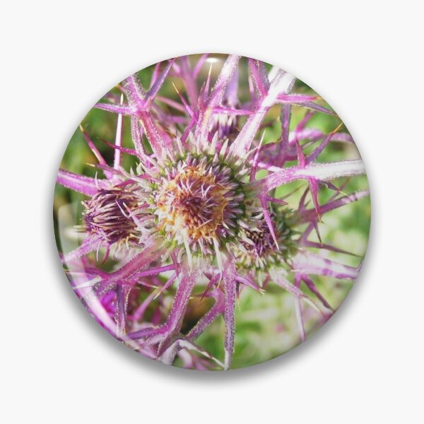 Item preview, Syrian Thistle designed and sold by taiche.