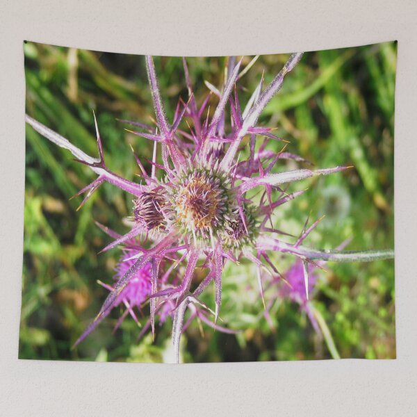 Item preview, Syrian Thistle designed and sold by taiche.