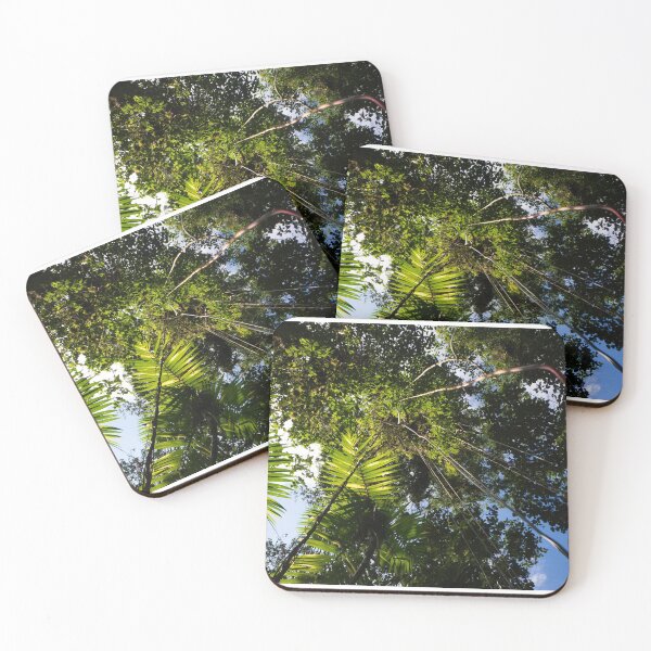 Item preview, Rainforest with hanging plants in the jungle in Panama designed and sold by michieldros.