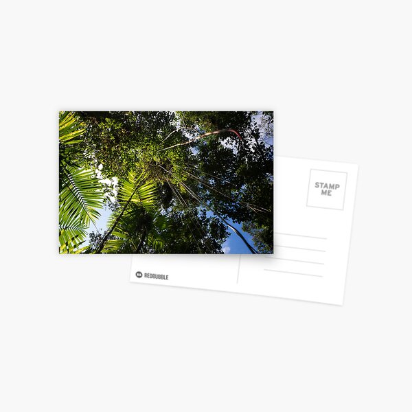 Item preview, Rainforest with hanging plants in the jungle in Panama designed and sold by michieldros.