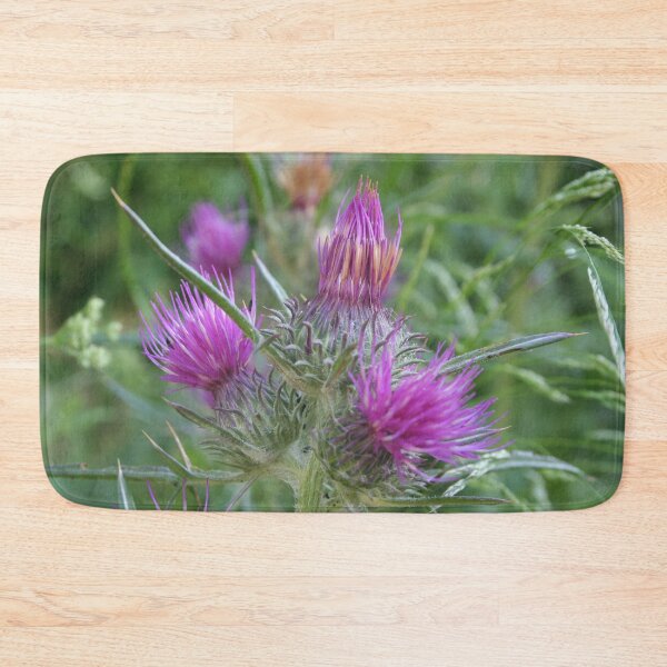 Item preview, Notobasis Syrica or Syrian Thistle designed and sold by taiche.