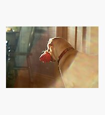 Helinka I Photographic Print