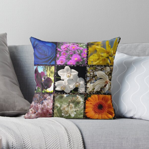 Throw Pillow