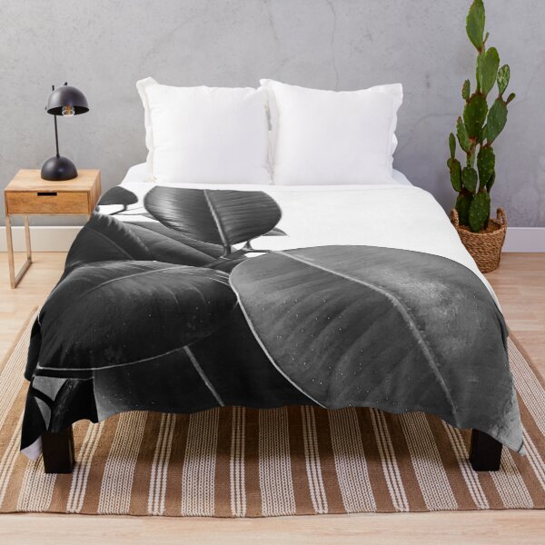 Item preview, Ficus Elastica #21 #BlackAndWhite #foliage #decor #art designed and sold by Anita's & Bella's Art.