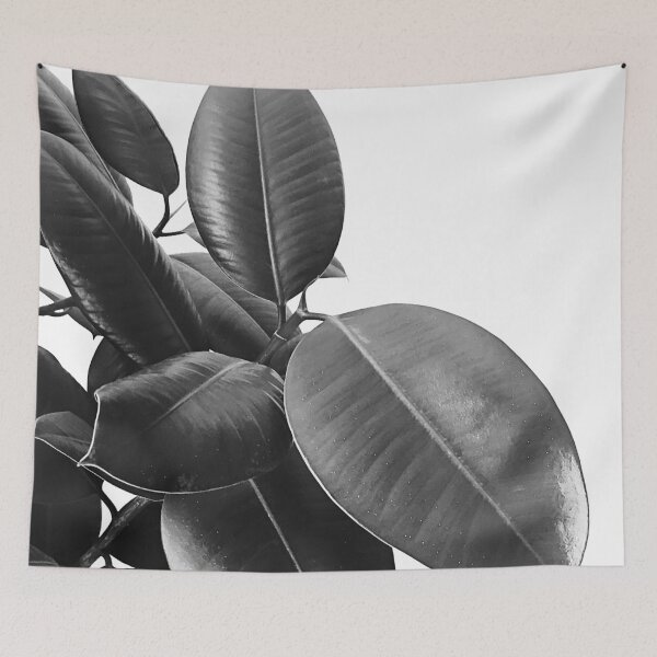 Item preview, Ficus Elastica #21 #BlackAndWhite #foliage #decor #art designed and sold by Anita's & Bella's Art.