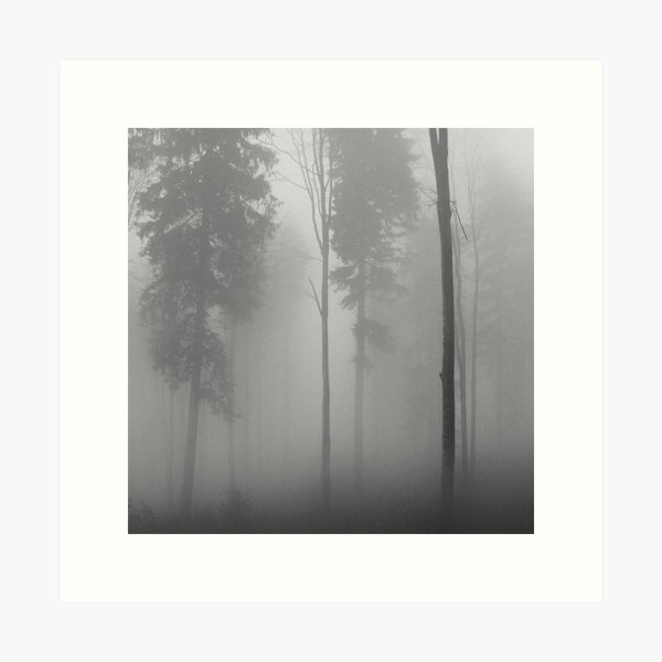 August 2013 Art Print
