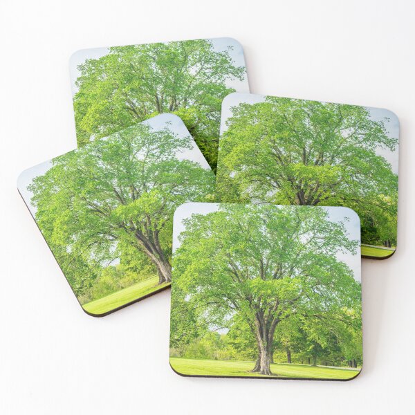 Item preview, Large Elm Tree designed and sold by mljdwhite.
