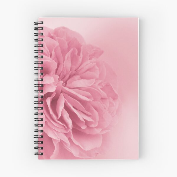 Item preview, Light Pink Rose #1 #floral #art  designed and sold by Anita's & Bella's Art.